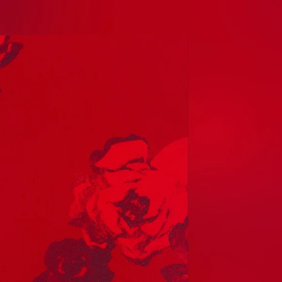 Realisation The Simone Dress in Amour - Picture 7 of 15